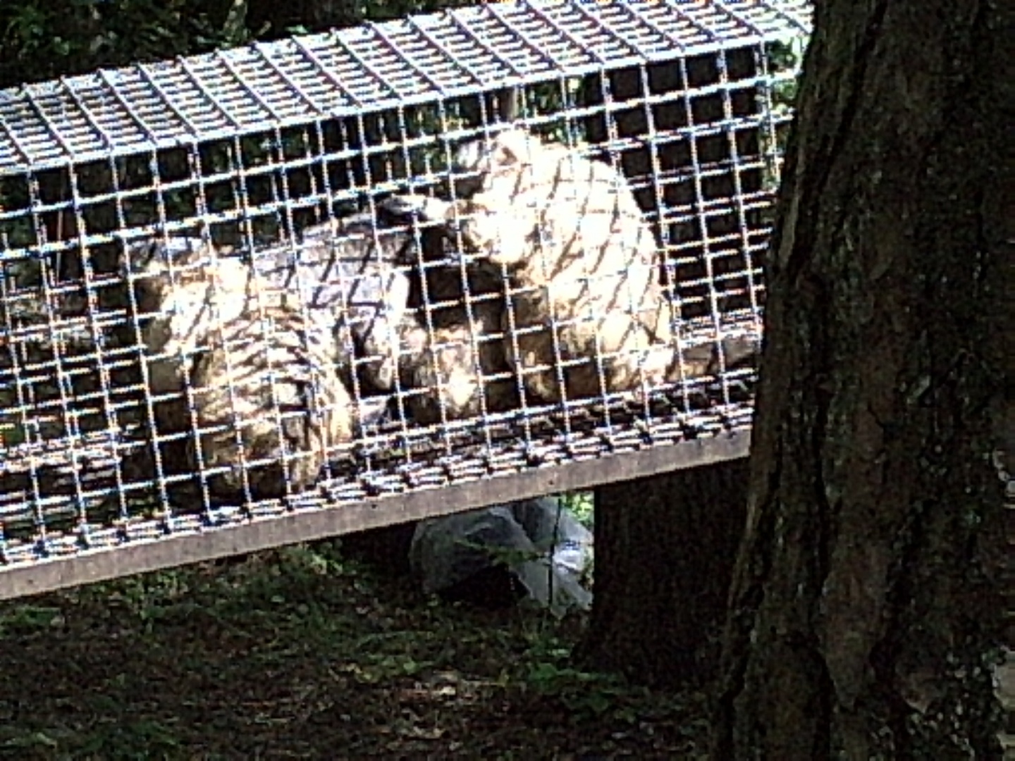PIC00022.JPG