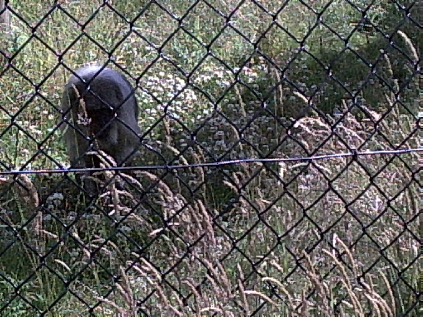PIC00027.JPG
