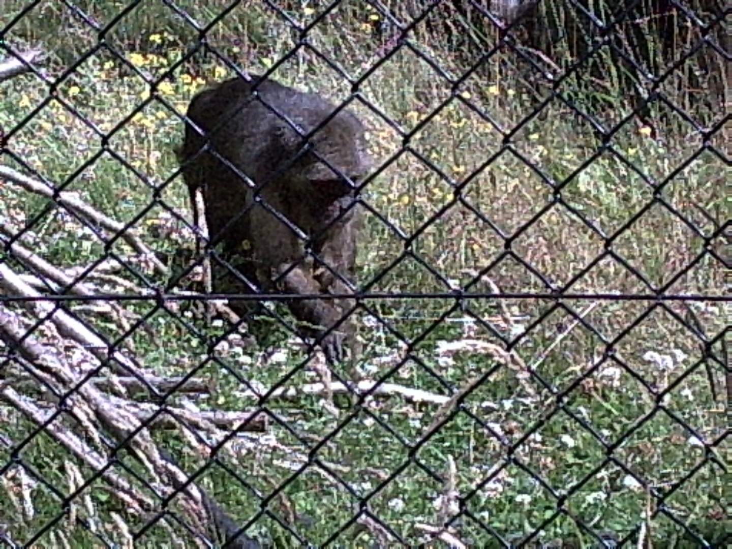 PIC00028.JPG