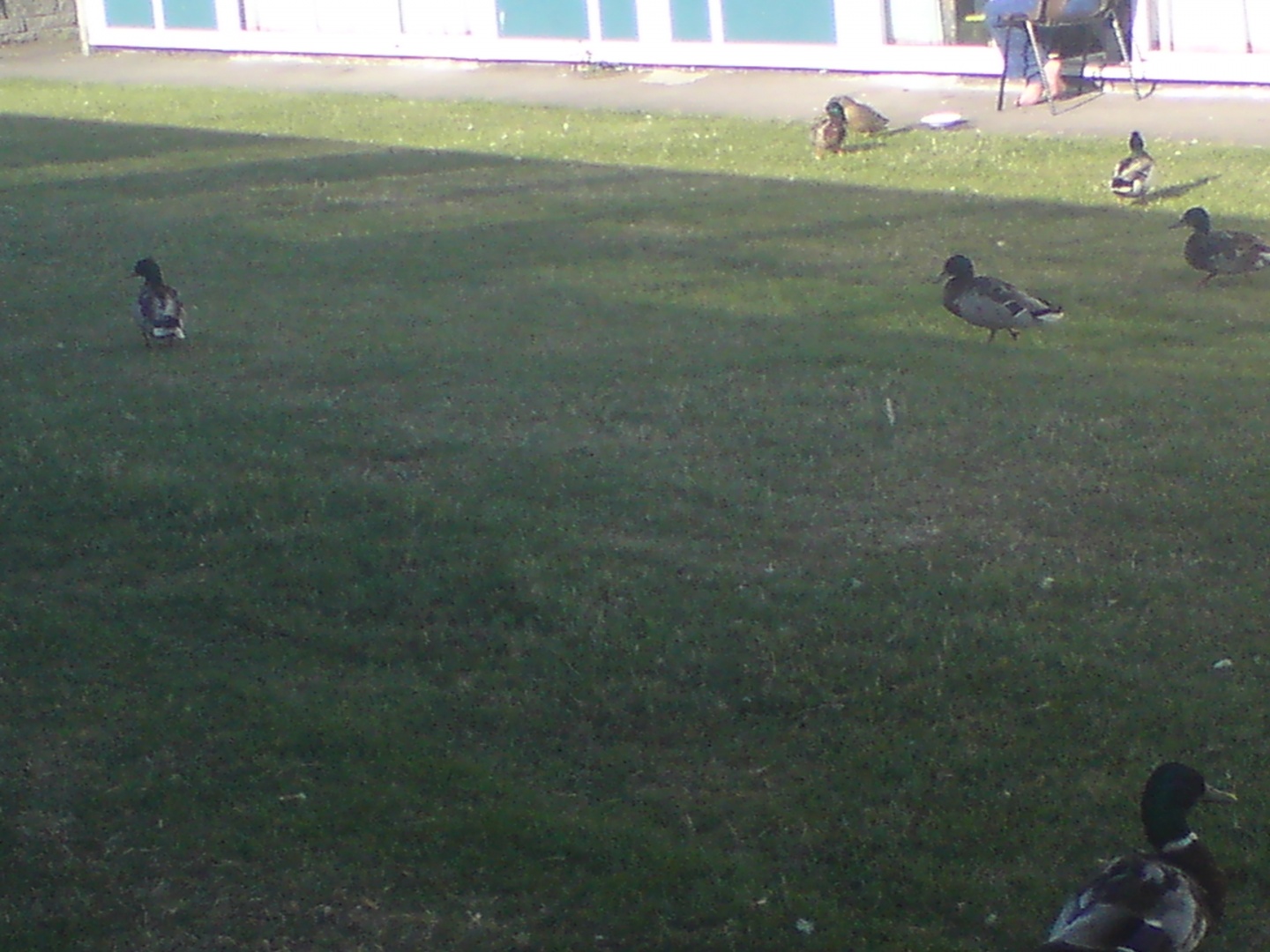 DSC00012.JPG