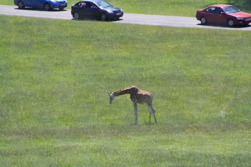 IMG_1092.JPG