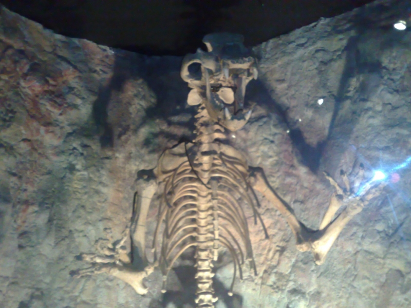 01072008071.jpg
