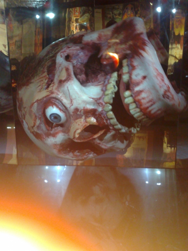 01072008081.jpg