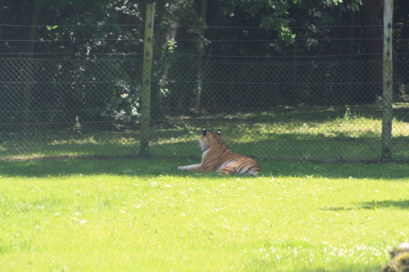 IMG_1247.JPG