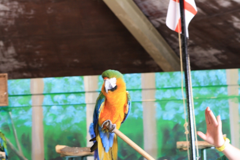 IMG_1332.JPG