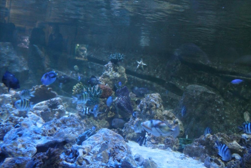 IMG_2552.JPG