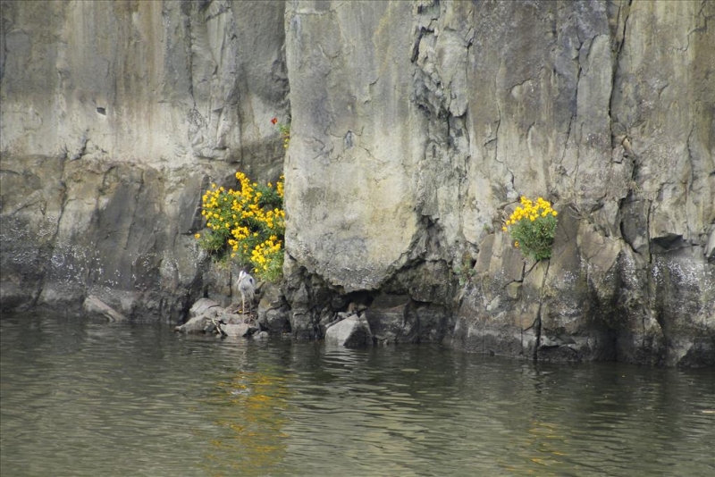 _MG_2431.JPG