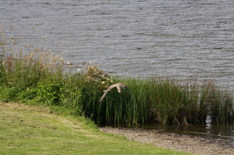 _MG_4144.JPG