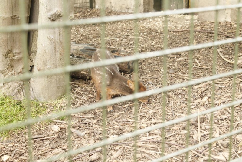 _MG_3206.jpg