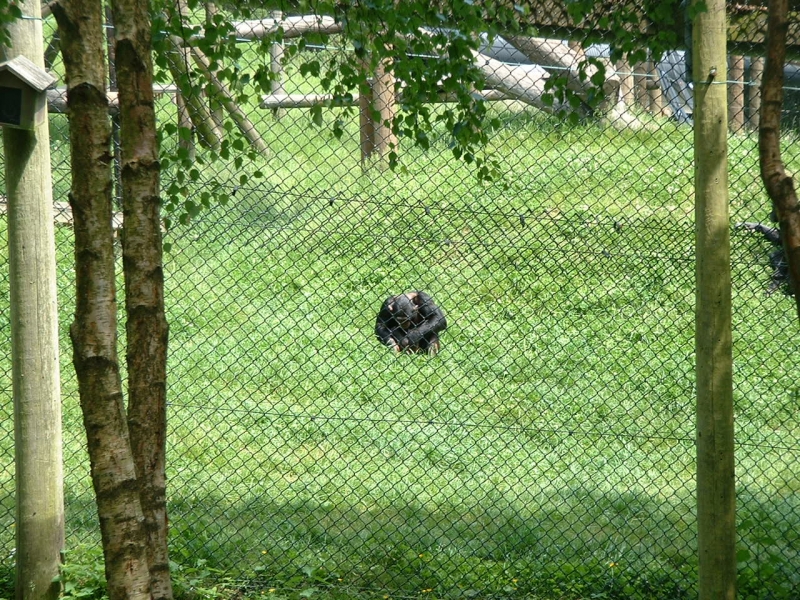 Zoom in DSCF0012.JPG