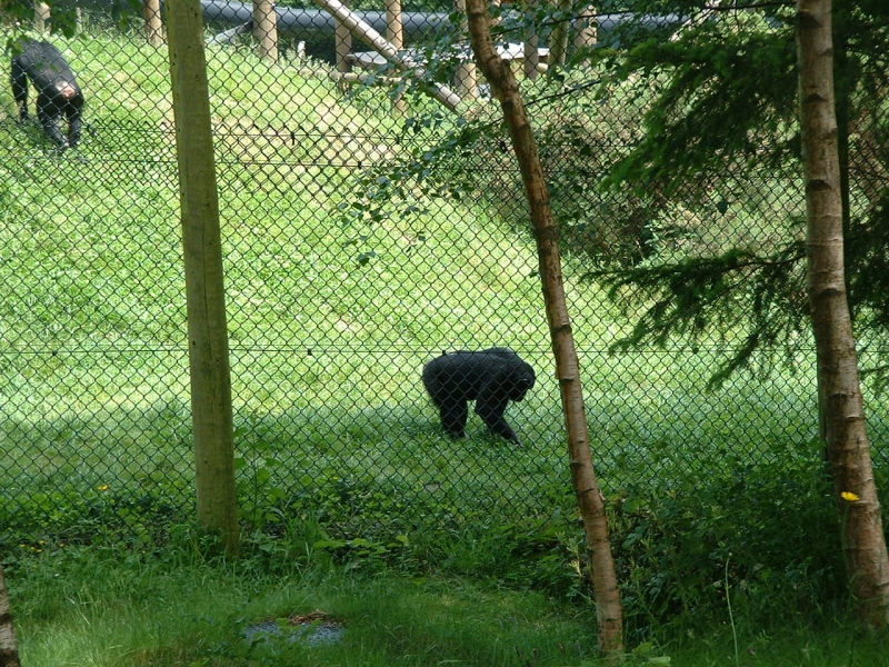 DSCF0013.JPG