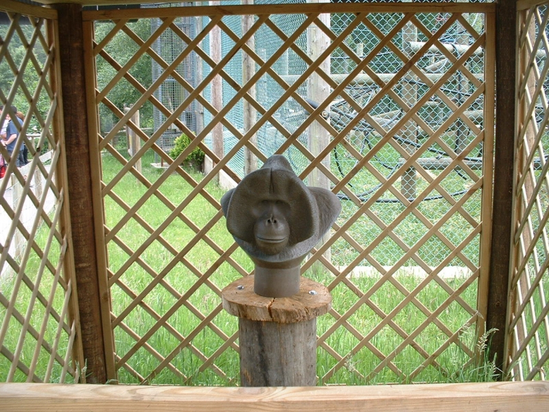DSCF0041.JPG