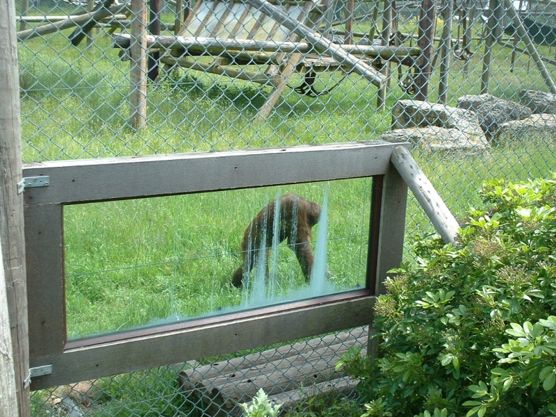 DSCF0047.JPG