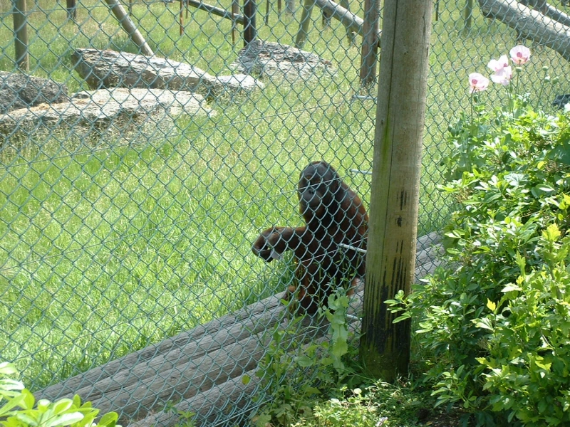 DSCF0050.JPG