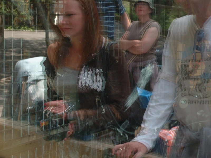 DSCF0052.JPG