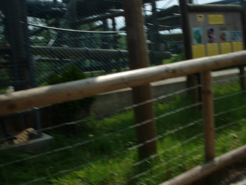 DSCF0054.JPG