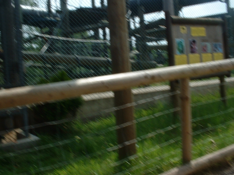 DSCF0055.JPG