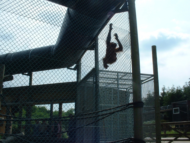 DSCF0057.JPG