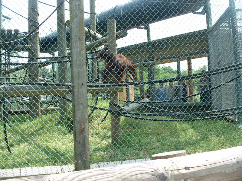 DSCF0059.JPG
