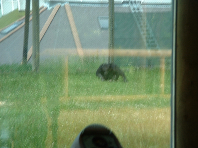 DSCF0068.JPG