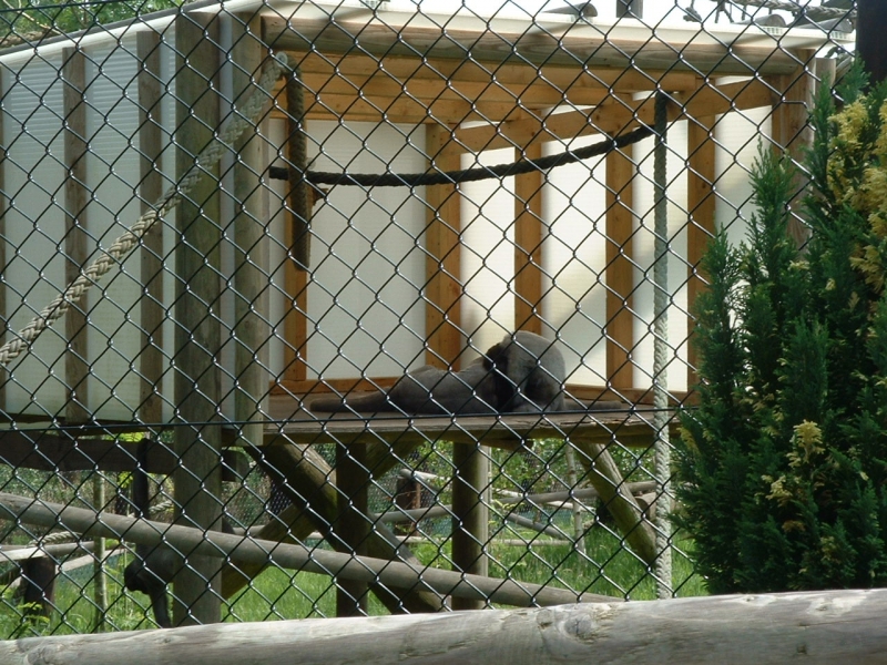 DSCF0075.JPG