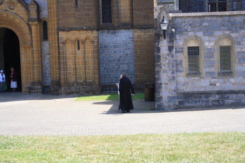 Zoom in IMG_1453.jpg