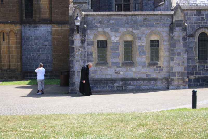 Zoom in IMG_1454.jpg
