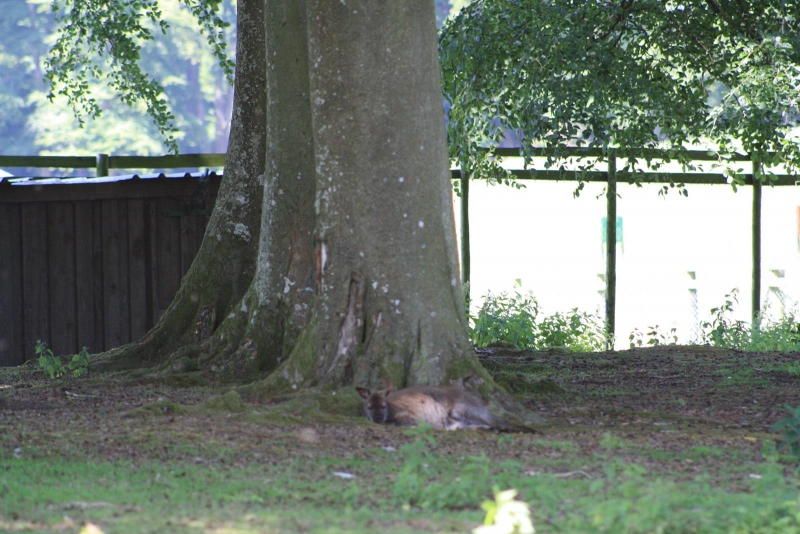 Zoom in IMG_1089.jpg