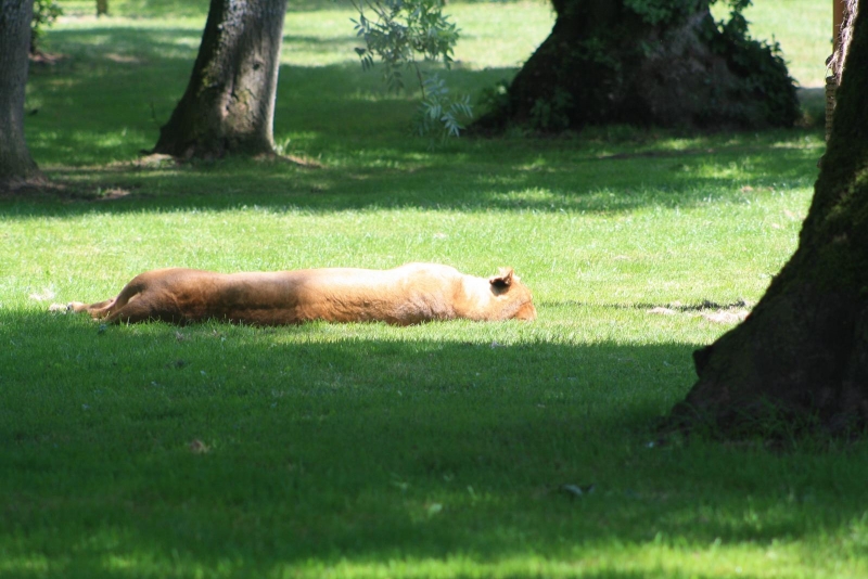 IMG_1257.jpg