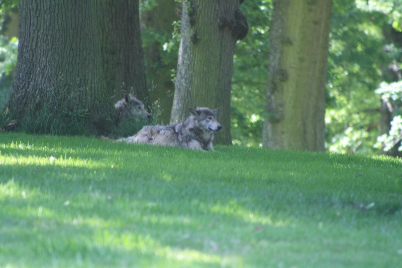 IMG_1280.jpg