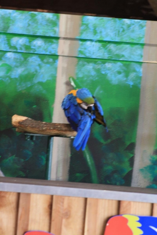 IMG_1322.jpg