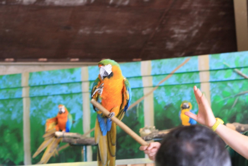 IMG_1331.jpg
