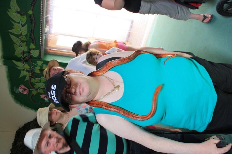 IMG_1391.jpg