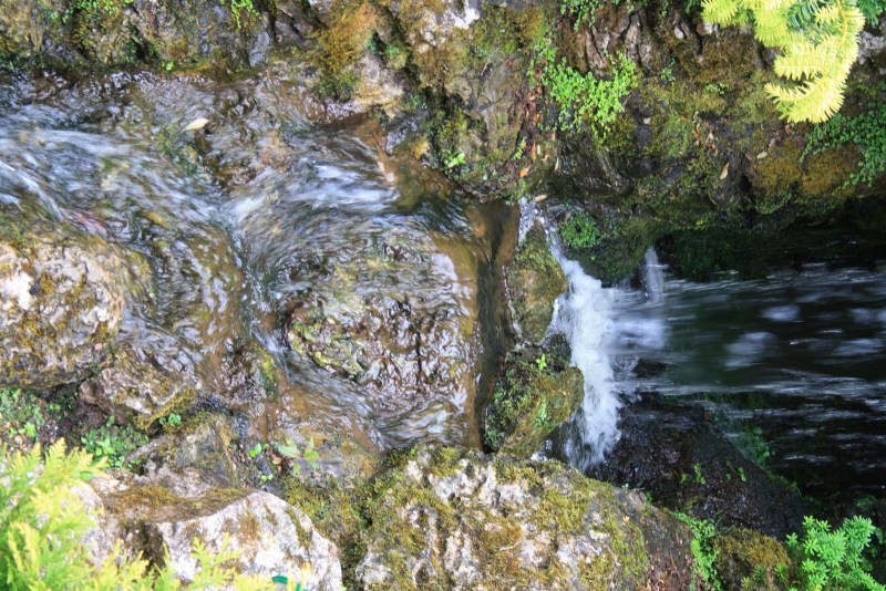 IMG_1666.jpg