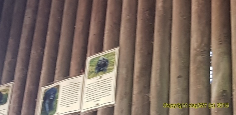 20180719_140243.jpg