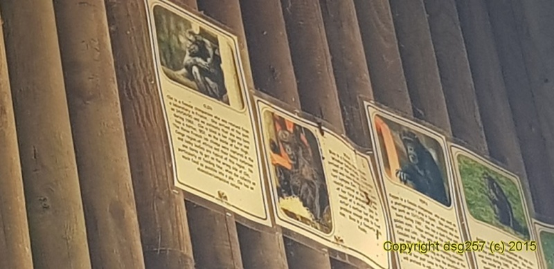 20180719_140303.jpg
