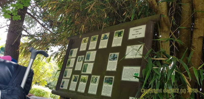 20180719_140415.jpg