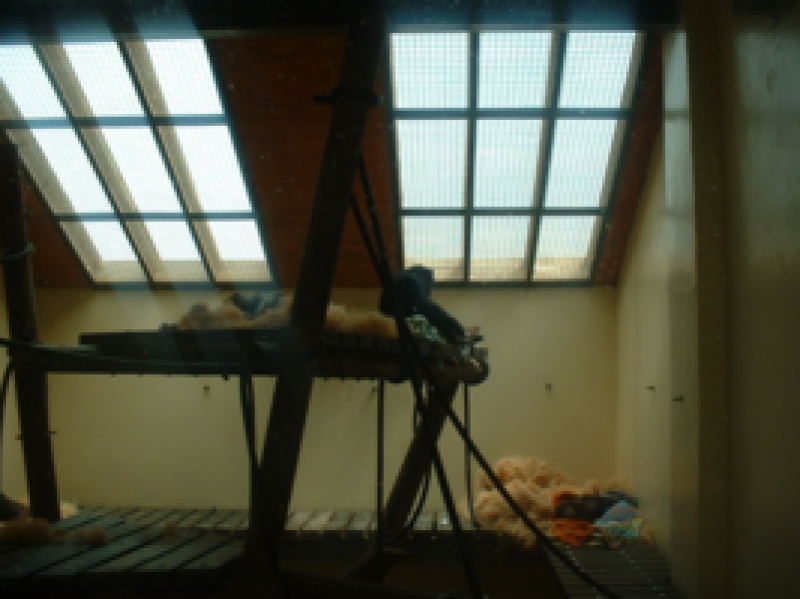 DSCF0005_267x200021111.png