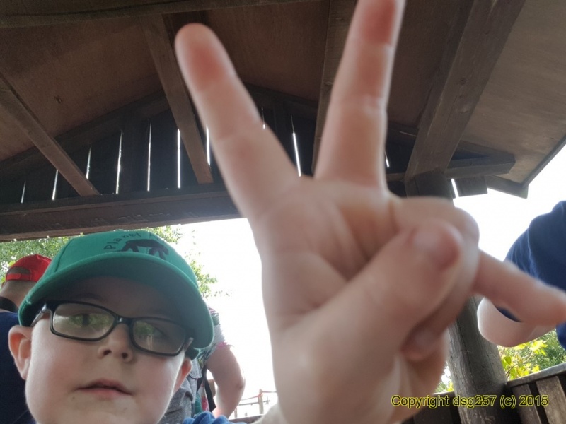 20180719_140858.jpg