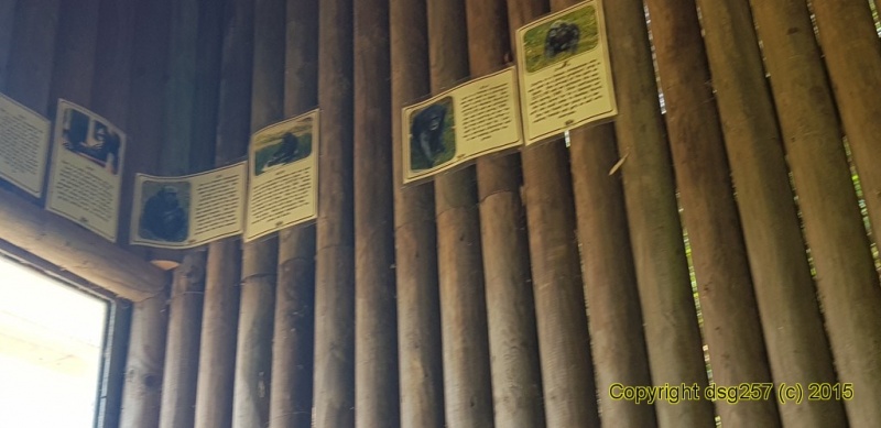 20180719_140324.jpg