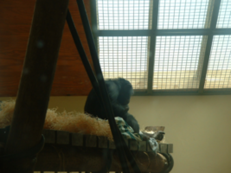 DSCF0007_267x200021111.png