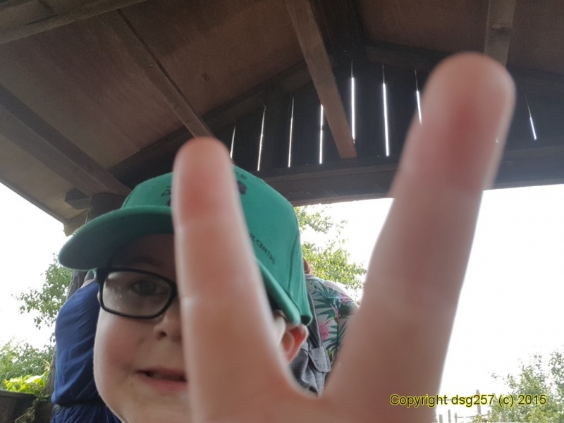 20180719_140857.jpg