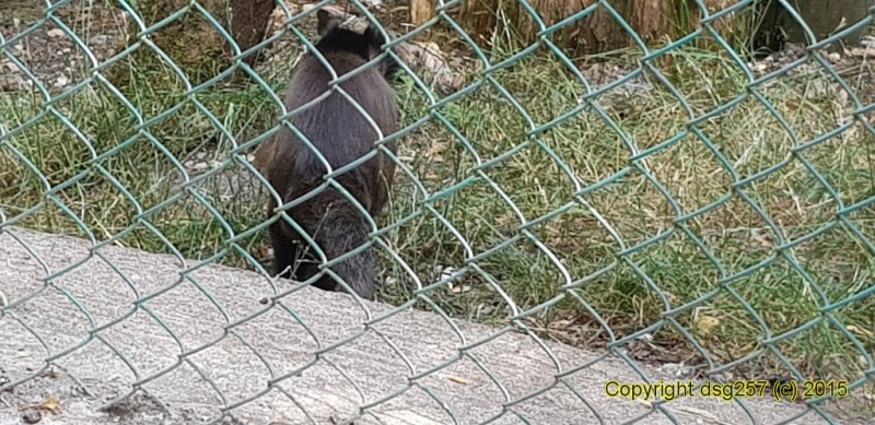 20180719_141816.jpg