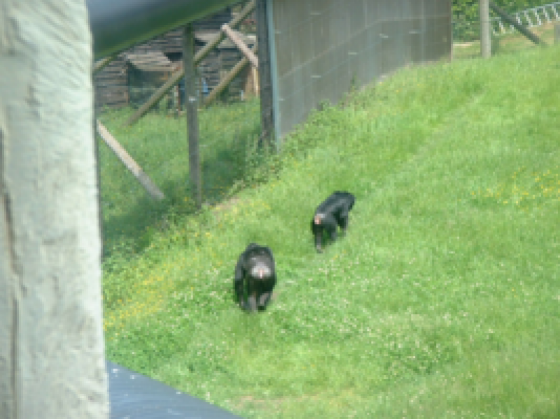 DSCF0009_267x200021111.png