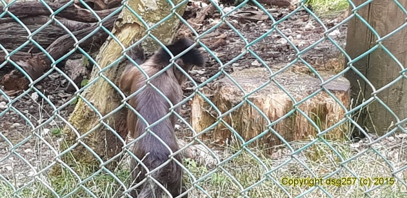 20180719_141832.jpg