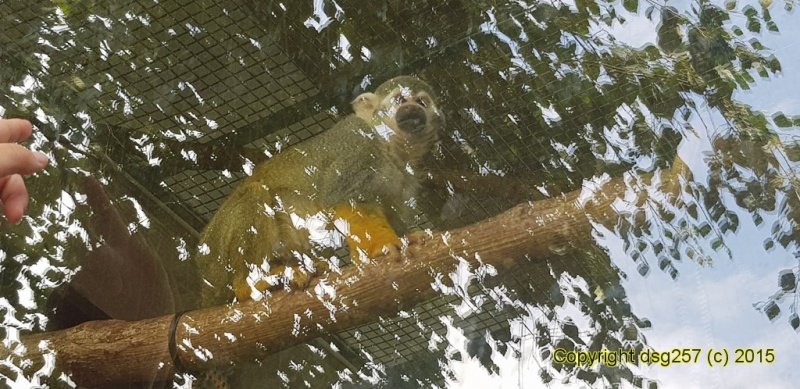 20180719_142046.jpg