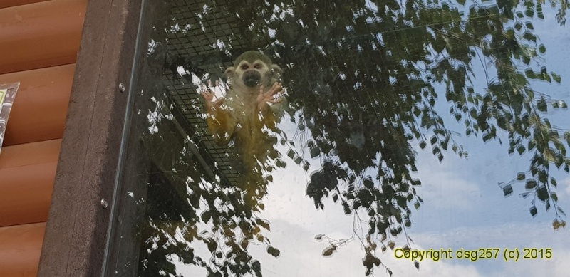 20180719_142118.jpg