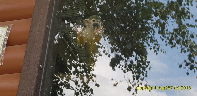 20180719_142119.jpg