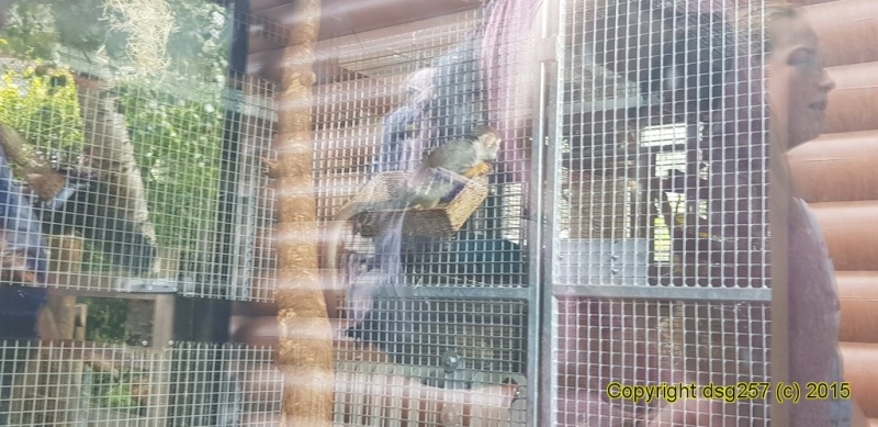 20180719_142440.jpg