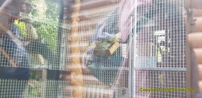 20180719_142441.jpg